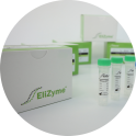 EliGene DNA Diagnostics