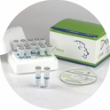 EliGene DNA Diagnostics